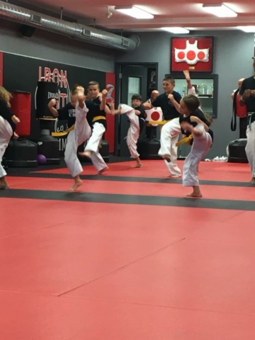 Iron Fist students practicing kicks