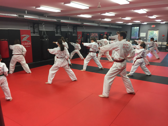 Iron Fist Taekwondo class practicing punches